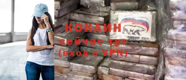 гашик Аркадак