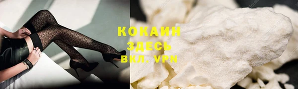 гашик Аркадак