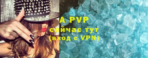 PSILOCYBIN Баксан